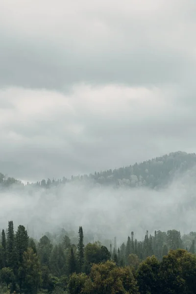 Altai natuur bij dageraad in de mist. Haze in het bos en op het meer, atmosferisch weer voor de screensaver. — Stockfoto