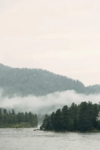 Natura Altai o świcie we mgle. Mgła w lesie i na jeziorze, atmosferyczna pogoda dla wygaszacza ekranu. — Zdjęcie stockowe