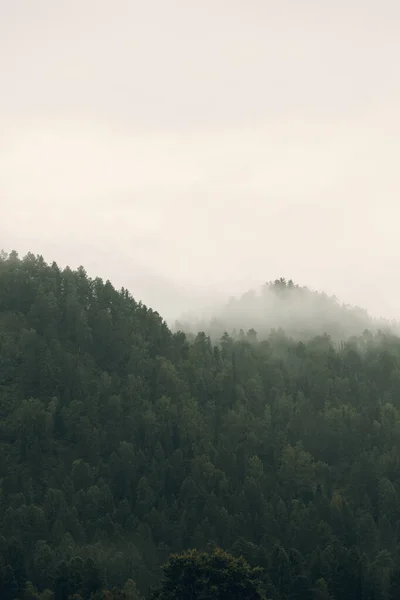 Altai natuur bij dageraad in de mist. Haze in het bos en op het meer, atmosferisch weer voor de screensaver. — Stockfoto