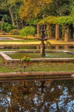 Bir çeşme ve bir su birikintisi yansıyan bir saksıyı