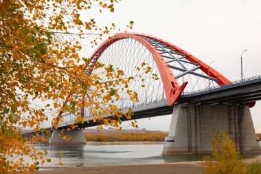Sonbahar manzara nehir üzerinde köprü. Ön planda sarı bir ağaçtır.