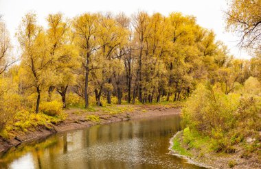 Sonbahar nehir, sarı ağaçlar, bulutlu gökyüzü, sonbahar, üzüntü.
