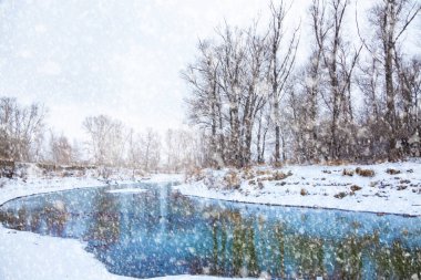 Orman Nehri üzerinde bir kar yağışı kışın başında bulutlu bir günde.