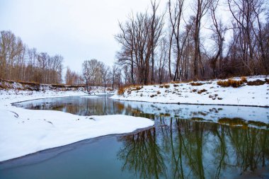 Kış başında bulutlu bir günde orman Nehri.