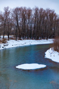Kış başında bulutlu bir günde orman Nehri.