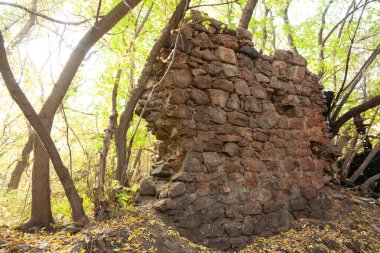 Sonbahar ormanındaki taş bir binanın kalıntıları..