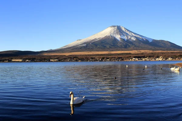 Fuji Swan Lake Yamanaka — Stock Photo, Image