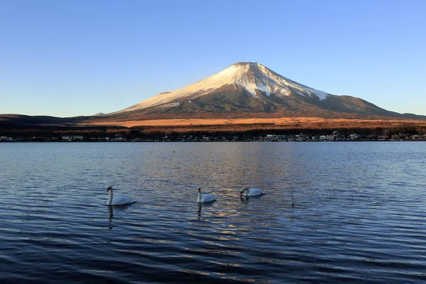 Fuji Swan Lake Yamanaka — Stock Photo, Image