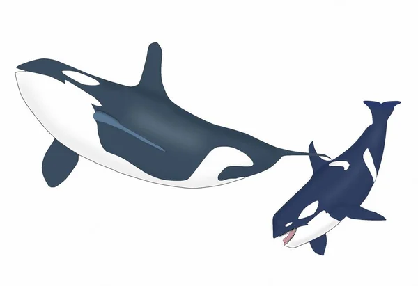 Fauna Schwimmender Delfin Malerei — Stockfoto