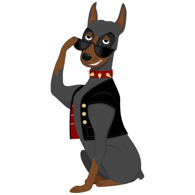 vahşi güzel karikatür köpek doberman gülümseyen giyinmiş deri ceket ve güneş gözlüğü, izole vektörel clipart