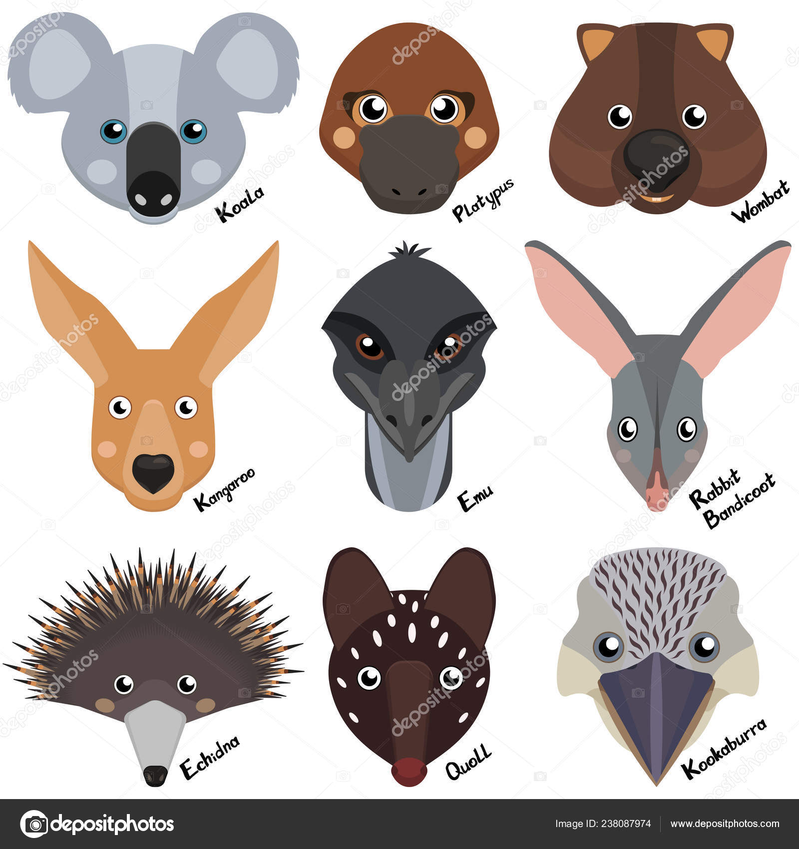 Heads Muzzles Wild Australian Animals Wombat Echidna Kangaroo Koala Rabbit Stock Vector Image by ©Anastasiia_86 #238087974 Heads Muzzles Wild Australian Animals Wombat Echidna Kangaroo Koala Rabbit Stock Vector Image by ©Anastasiia_86 #238087974