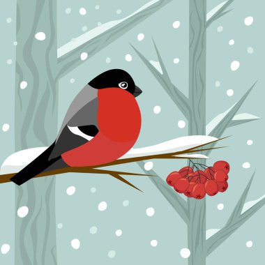 Bird bullfinch sit on branch of rowan-tree with bunch of red rowanberry in winter snow forest, vector illustration