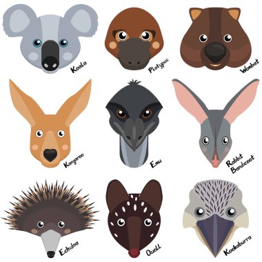 başkanları ve Ağızlıklar Avustralya vahşi hayvanlar, wombat, dikenli karıncayiyen, kanguru, koala, tavşan bandicoot, devekuşu emu, Benekli'yi, platypus. Vektörel clipart beyaz arka plan üzerinde çizgi film koleksiyonu