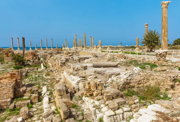 Romeinen ruïnes Tyrus Sur Zuid-Libanon — Stockfoto