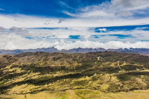 Paramo de Oceta Espeletia Frailejones Mongui Boyaca Colombia — стокове фото