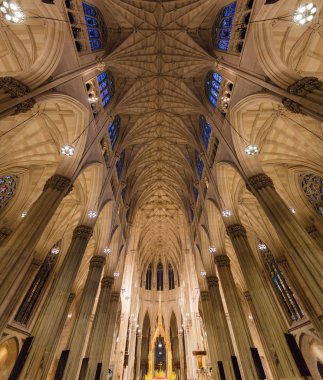 St. Patricks Katedrali New York City ABD 'nin Tarihi Simgeleri