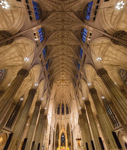 St. Patricks Cathedral Manhattan Landmärken New York City USA — Stockfoto