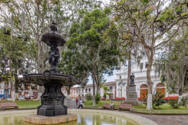 Salamina ana kare Caldas Kolombiya