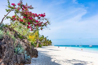 Kendwa Beach Unguja Zanzibar Tanzanya Doğu Afrika