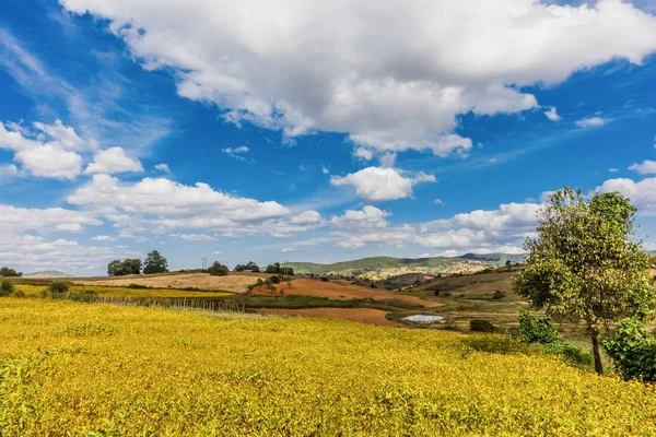 Χωράφια διαμορφωμένα πολιτεία Shan Myanmar — Φωτογραφία Αρχείου