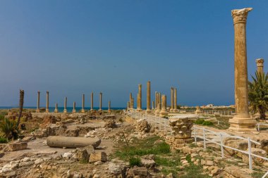 Romalılar Harabeleri lastik Sur Güney Lübnan