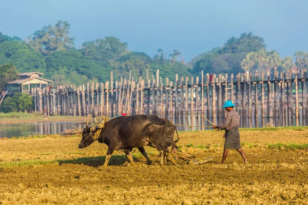 U Bein most Taungthaman nad jeziorem Amarapura Myanmar — Zdjęcie stockowe