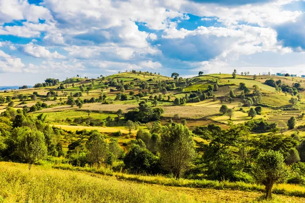 Velden aangelegd Shan staat Myanmar — Stockfoto