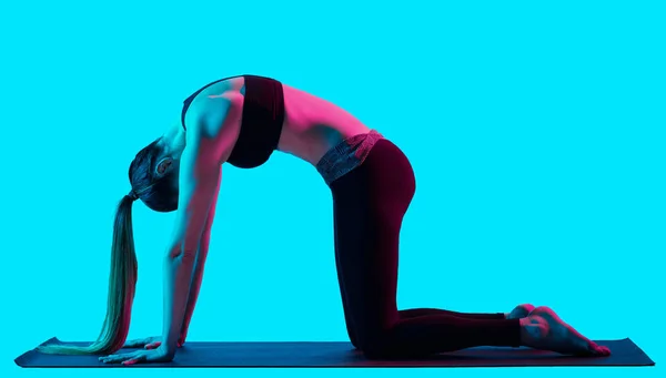 Mulher ioga exerce pose de gato Bidalasana — Fotografia de Stock