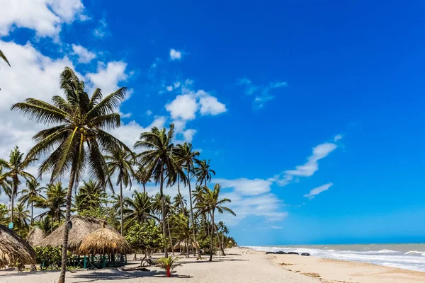 Playa Palomino La Guajira Colombia — Foto de Stock