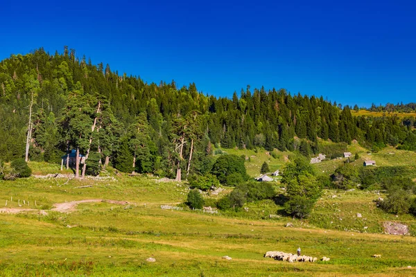 Dabadzveli landskap Borjomi Samtskhe Javakheti Georgien Europa landmärke — Stockfoto