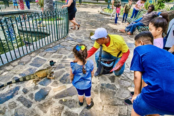 Seminario Park playing iguanas Guayaquil Ecuador landmark — Stock Photo, Image