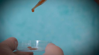 Şişe, testi farklı kompozisyonlar, yeşil arka plana sahip test tüpleri.