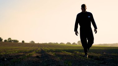 Mavi bir elbise içinde genç bir çiftçi ekili bitkiler seyir alan yürür. Konsept: temiz hava, biyo, tarım.