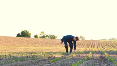 Mavi bir elbise içinde genç bir çiftçi ekili bitkiler seyir alan yürür. Konsept: temiz hava, biyo, tarım.