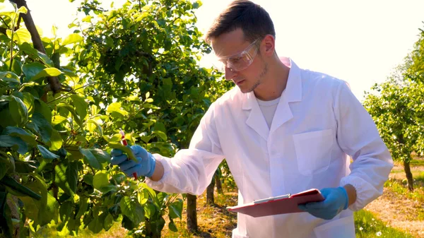 Fiatal Jóképű Férfi Biológus Vagy Agronómus Írásban Egy Notebook Rajta — Stock Fotó