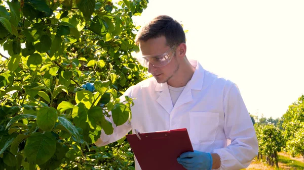 Fiatal Jóképű Férfi Biológus Vagy Agronómus Írásban Egy Notebook Rajta — Stock Fotó