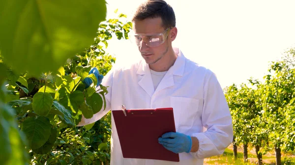 Fiatal Jóképű Férfi Biológus Vagy Agronómus Írásban Egy Notebook Rajta — Stock Fotó