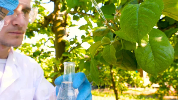 Egy Fiatal Csinos Férfi Biológus Vagy Agronómus Úgy Elemzi Nedvesség — Stock Fotó