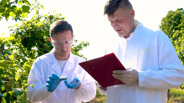 Dois Jovens Agrônomos Biólogo Trabalhando Macieira Escrevem Testes Caderno Casacos — Fotografia de Stock