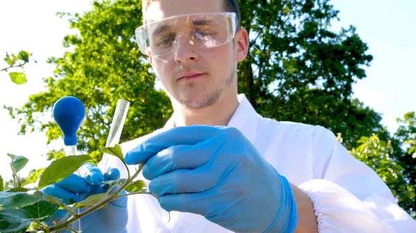 Ein Junger Gutaussehender Männlicher Biologe Oder Agronom Nimmt Feuchtigkeitsanalysen Vor — Stockfoto