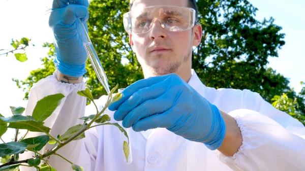 Egy Fiatal Csinos Férfi Biológus Vagy Agronómus Úgy Elemzi Nedvesség — Stock Fotó