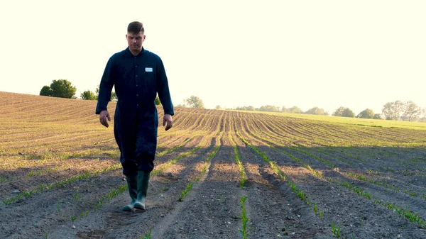 Joven Agricultor Con Una Bata Azul Camina Por Campo Mirando — Foto de Stock