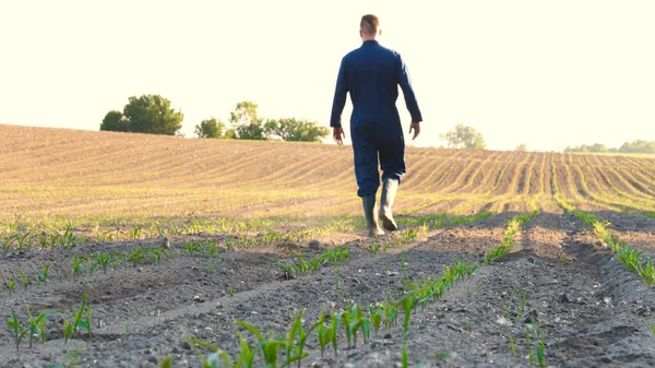 Egy Fiatal Mezőgazdasági Termelő Kék Köpenyt Viselt Sétál Mező Nézett — Stock Fotó