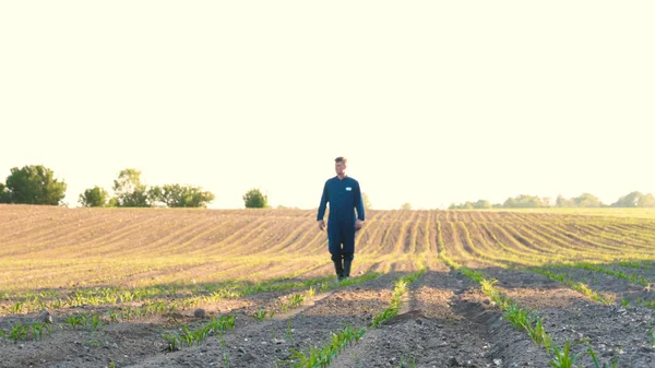 Joven Agricultor Con Una Bata Azul Camina Por Campo Mirando — Foto de Stock