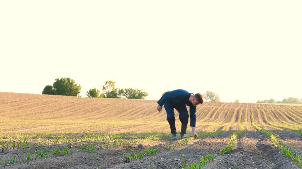 Joven Agricultor Con Una Bata Azul Camina Por Campo Mirando — Foto de Stock