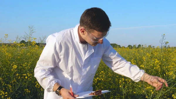 Egy Fiatal Gyönyörű Biológus Vagy Agronómus Elemzi Szerkezet Mezőben Írja — Stock Fotó