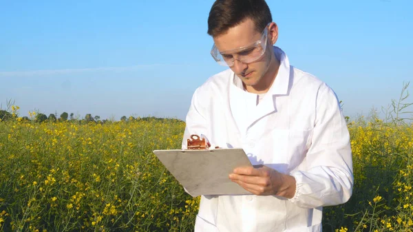 Eine Junge Schöne Biologin Oder Agronomin Arbeitet Auf Dem Feld — Stockfoto