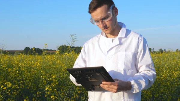 잘생긴 생물학 태블릿에서 바이오 생물학 테스트 전문가의 분야에 식물을 — 스톡 사진