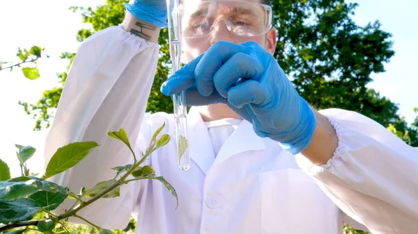 Young Handsome Male Biologist Agronomist Takes Analyzes Moisture Leaves Dna Royalty Free Stock Images