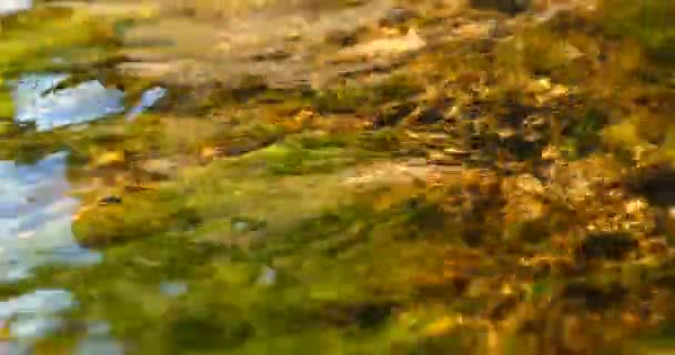 Чоловік Тримає Руку Миє Руки Фонтані Вода Очищає Від Бруду — стокове відео
